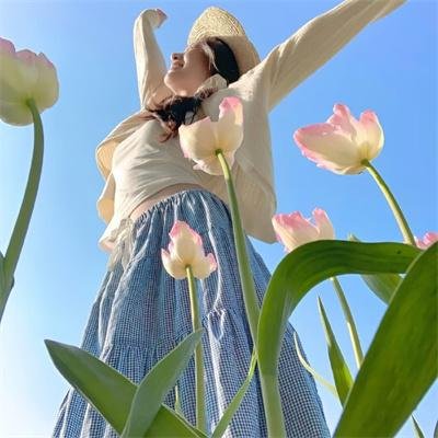 野菊之墓